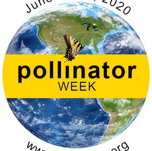 Pollinator Week 2020